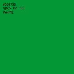 #059735 - Forest Green Color Image